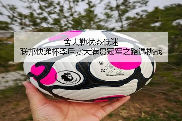 she-fu-lei-zhuang-tai-di-mi-lian-bang-kuai-di-bei-ji-hou-sai-da-man-guan-guan-jun-zhi-lu-yu-tiao-zhan-2-309.jpg